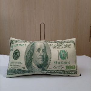 COJÍN DOLLAR
