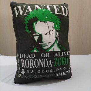 COJÍN DE ZORO SE BUSCA